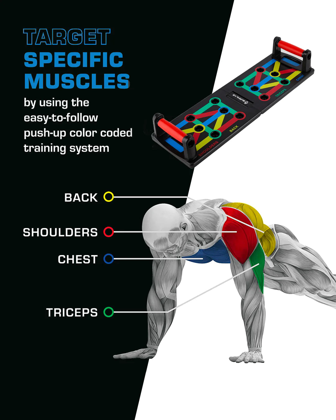 14 in 1 Board Push-up Bar