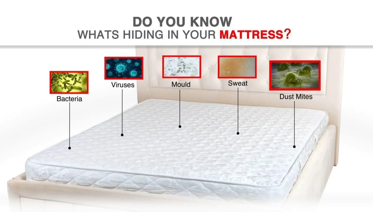 Fidato Double Bed Mattress Protector (30*15*2)